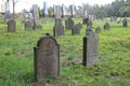 Gravestones on Jewish cemetery in OlÃÂ¡any near JindÃâ¢ichuv Hradec